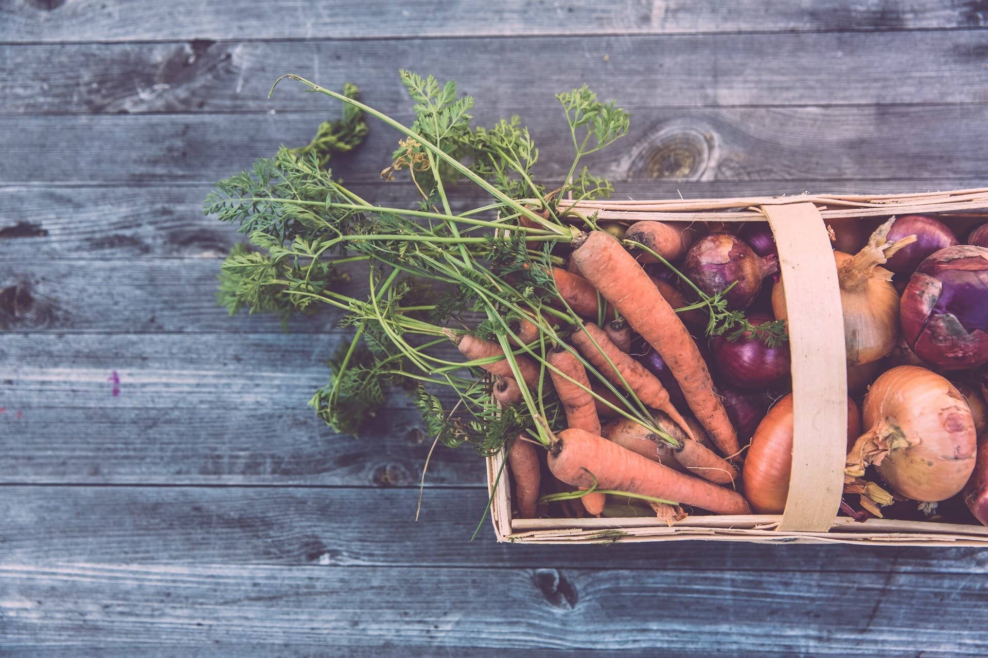 Fresh Vegetables India