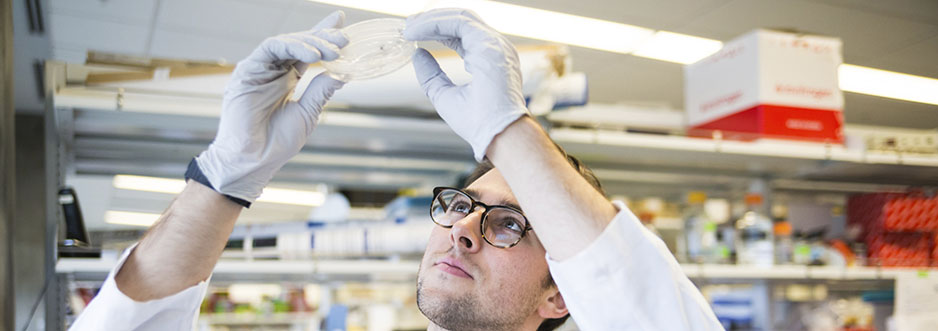 Oncology Research