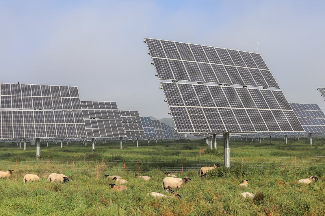 Industrial energy corridor in the GCC